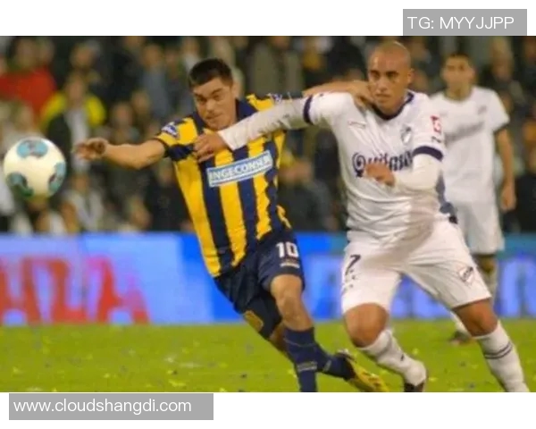 大学生与萨斯菲的对抗赛探讨青春与挑战的碰撞与成长 大学生与萨斯菲的对抗赛探讨青春与挑战的碰撞与成长