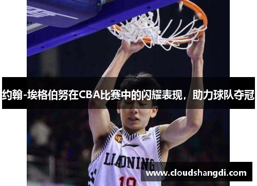约翰-埃格伯努在CBA比赛中的闪耀表现，助力球队夺冠