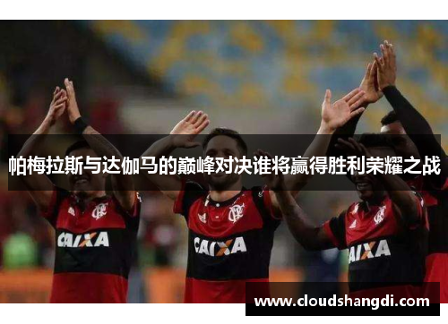 帕梅拉斯与达伽马的巅峰对决谁将赢得胜利荣耀之战